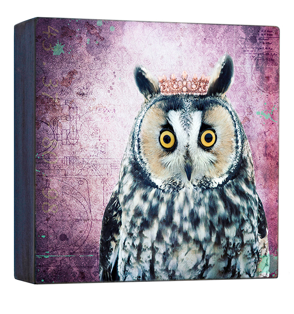 Kings & Queens - Owl