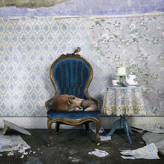 While You Were Sleeping